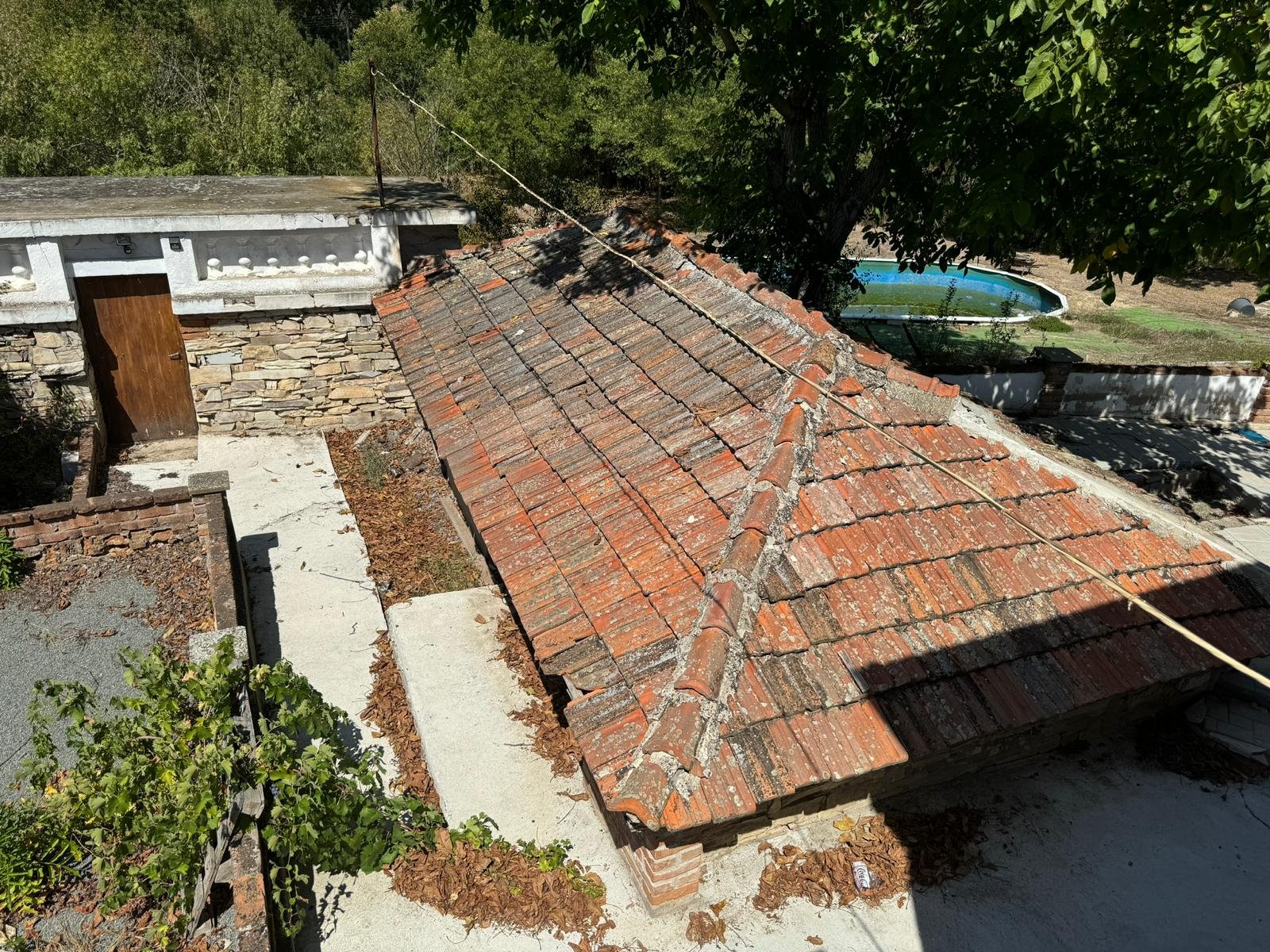House with a large yard and swimming pool in the village of Bistrets, Sredets municipality