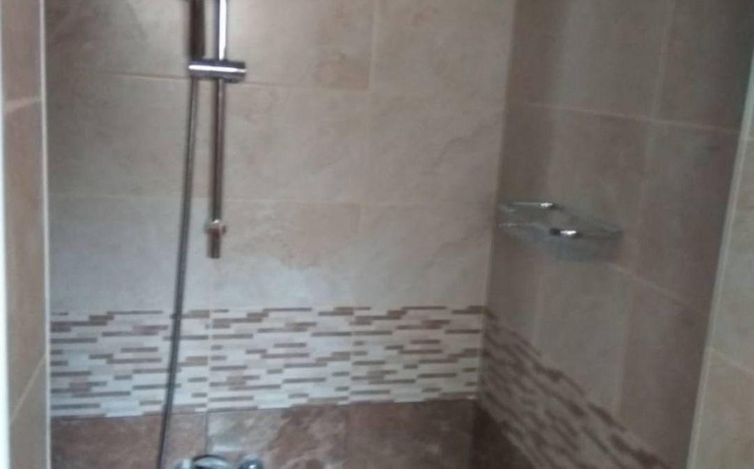 Generous house (370 m²) on a plot with its own vineyards in the village of Detelina, Varna region, Bulgaria for sale