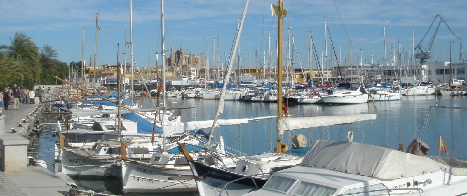 Hoch über den Dächern von Palma. Luxuriöses Penthouse mit großer Terrasse, Palma de Mallorca, Spanien