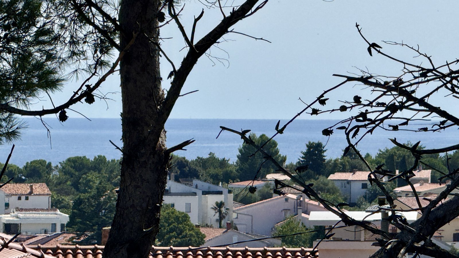 Spacious house with three apartments 350 m from the sea, Krk, Croatia