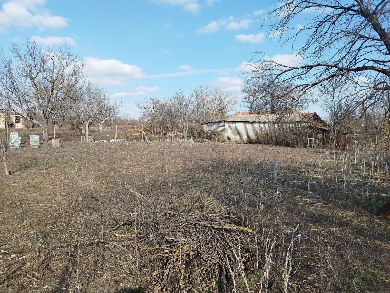 One-storey house with 1,400 m² plot near Elhovo