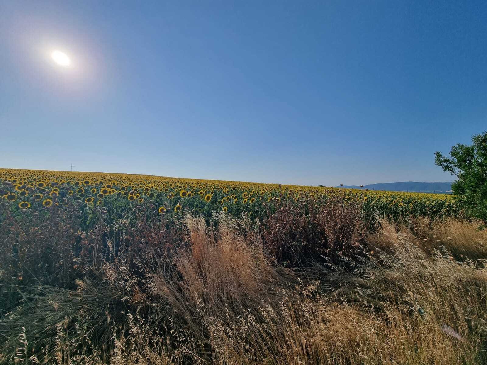 Building plot with sea view near Tankovo, Bulgaria
