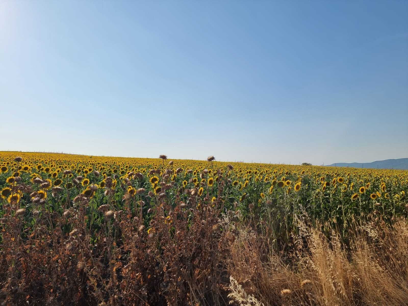 Building plot with sea view near Tankovo, Bulgaria