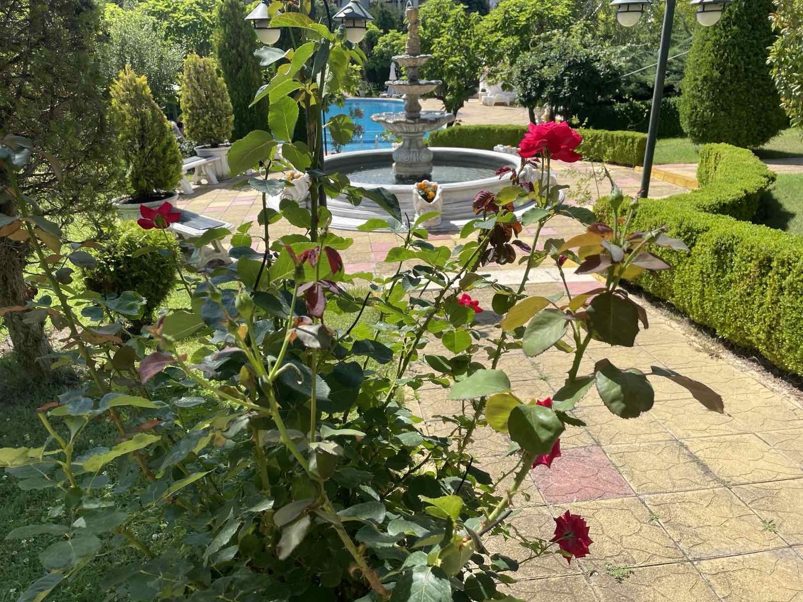 Saint Vlas Bulgaria Young Beach 3-room apartment