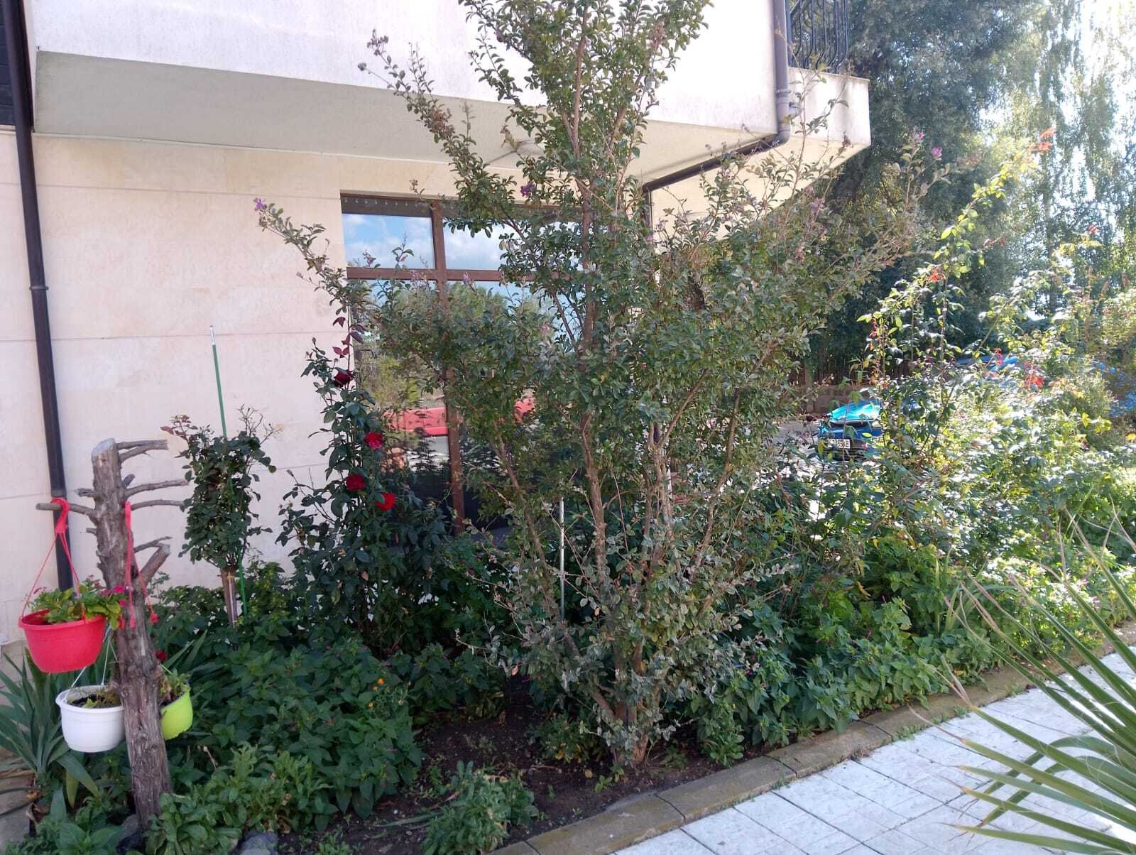 Various 2-room apartments for long-term rent at Sunny Beach