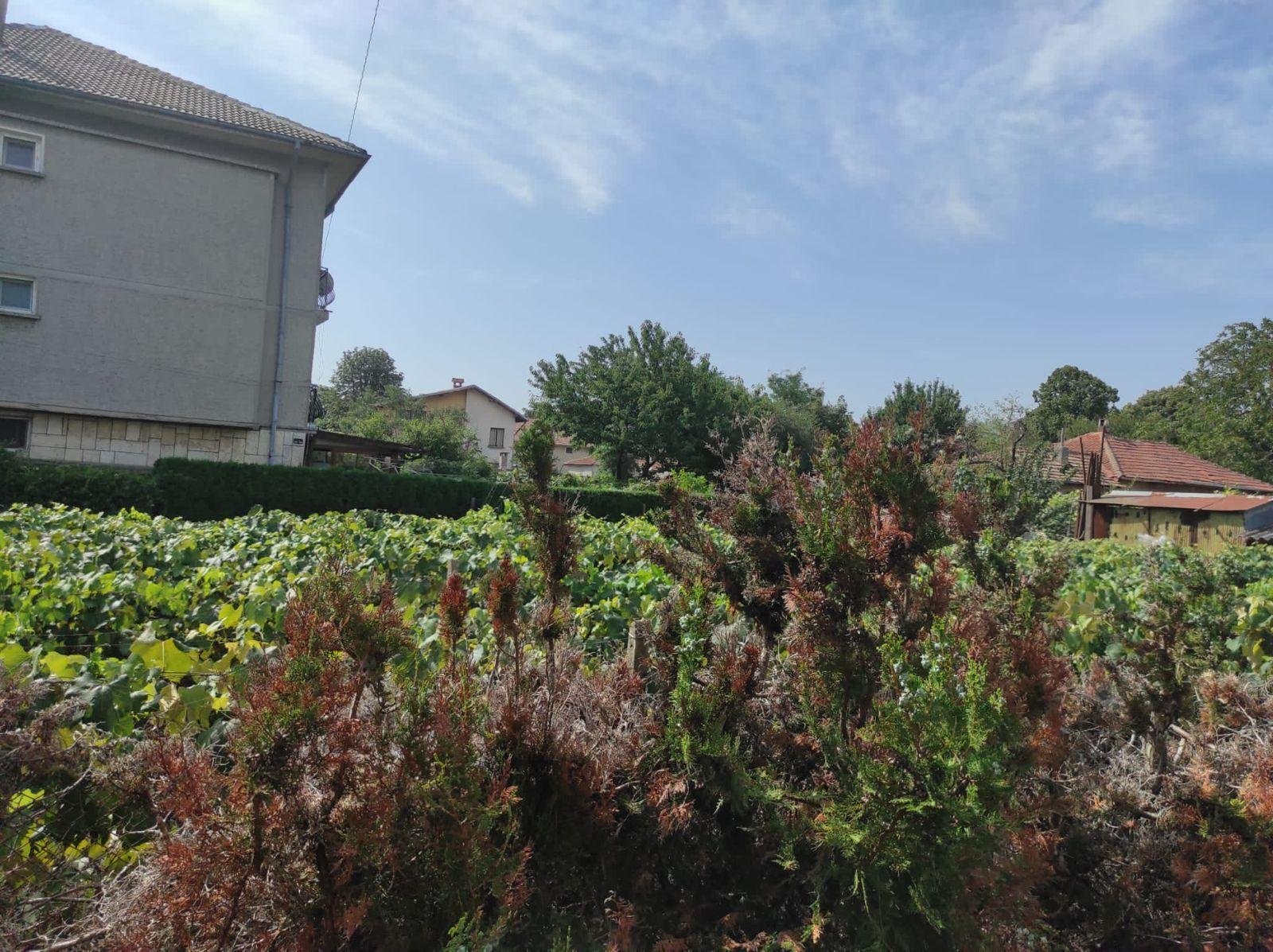 Ampia casa su più livelli con giardino a General Toshevo | 300 m² | €115.500