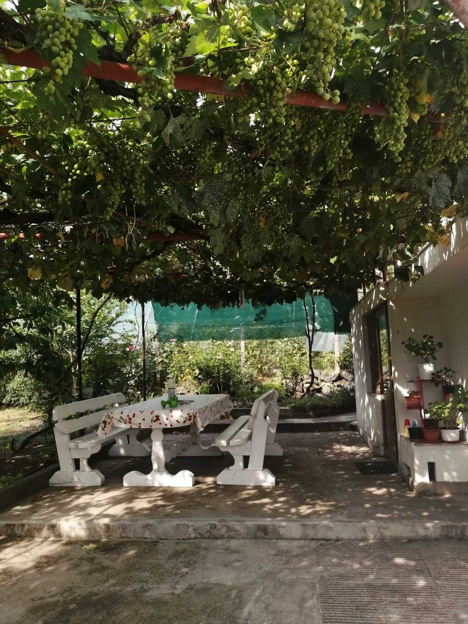 Casa unifamiliare con capanno e pannelli solari, regione Izvor, Burgas, Bulgaria