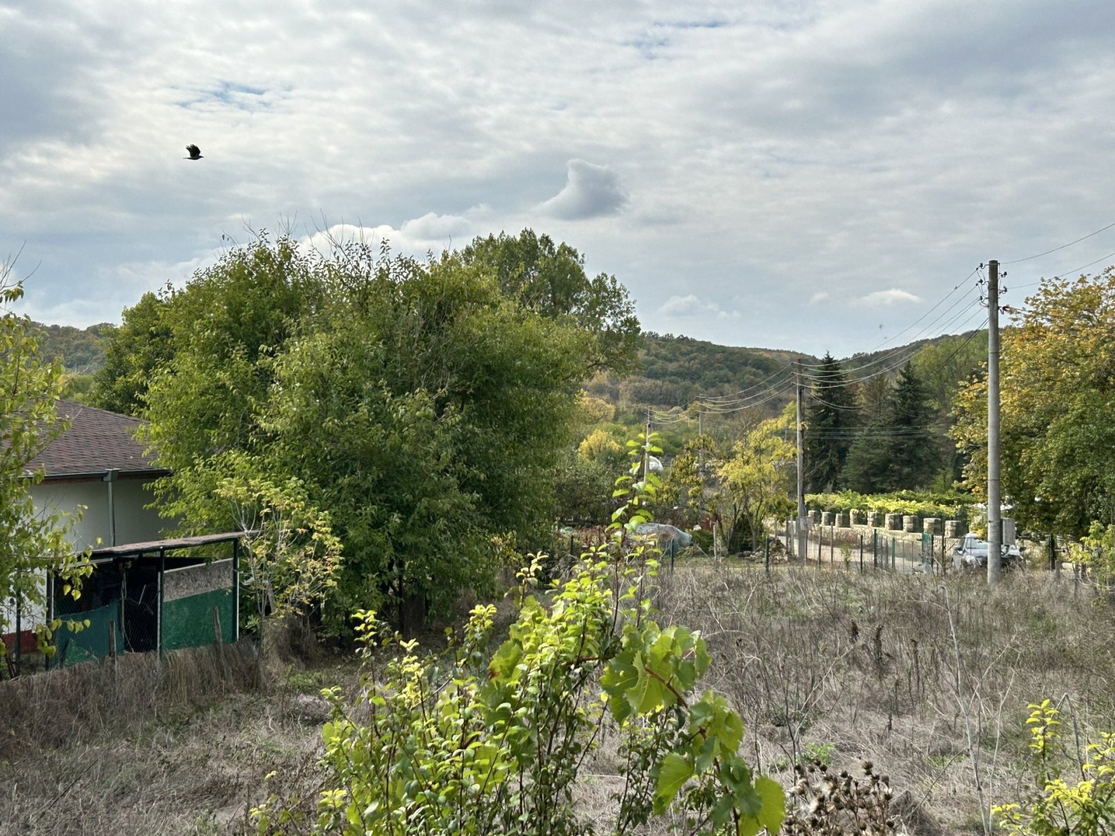 Vecchia casa parzialmente ristrutturata con ampio terreno a Odrintsi, regione di Dobrich, Bulgaria.