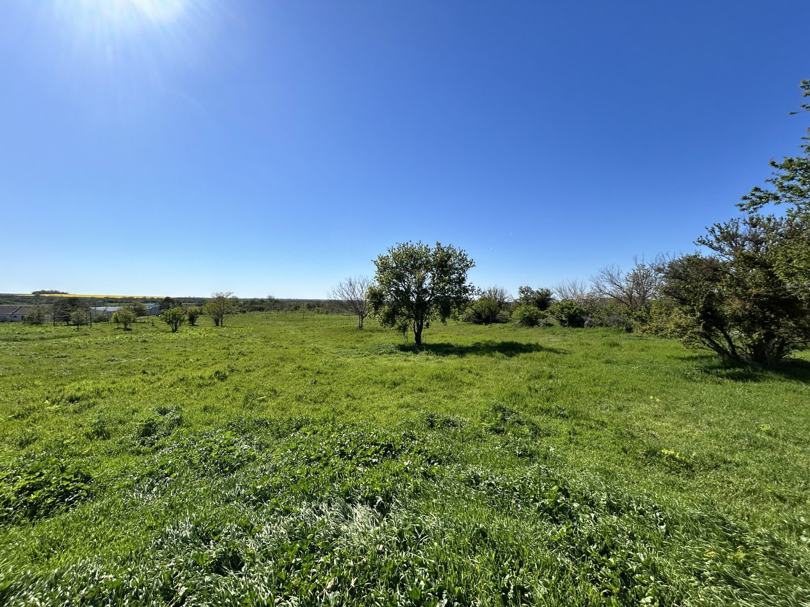 Günstiges Haus sanierungsbedürftig in Durankulak Region Dobrich