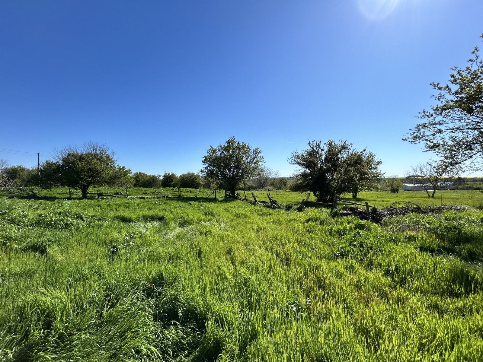 Günstiges Haus sanierungsbedürftig in Durankulak Region Dobrich