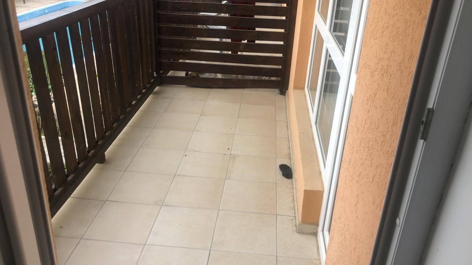 Appartamento con 2 camere e vista sulla piscina in affitto a lungo termine ad Aheloy, Bulgaria