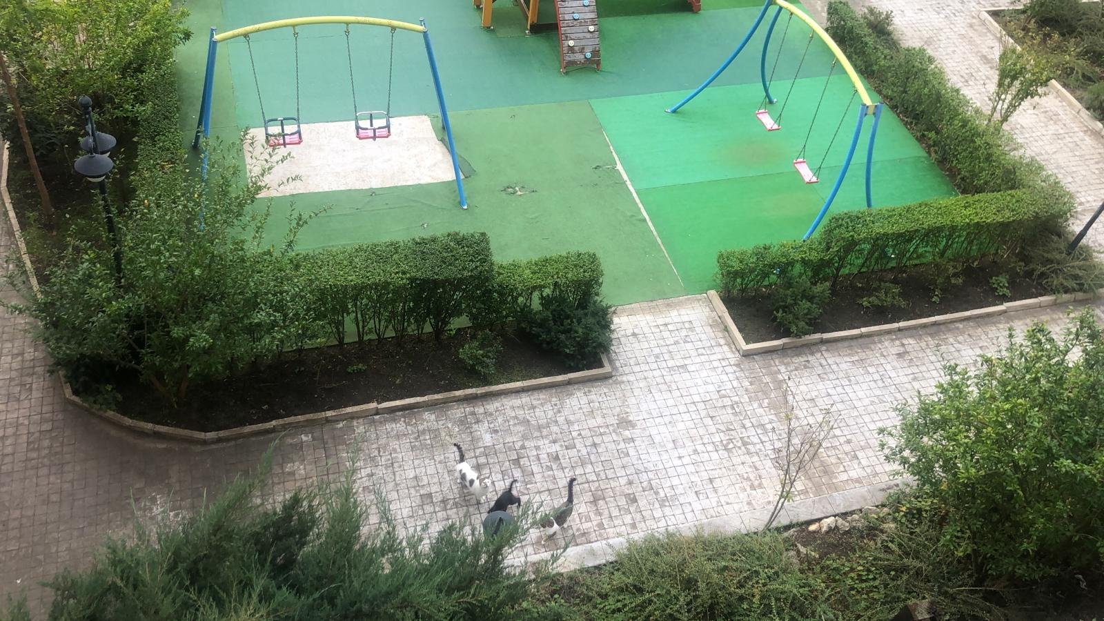 Appartamento con 2 camere e vista sulla piscina in affitto a lungo termine ad Aheloy, Bulgaria