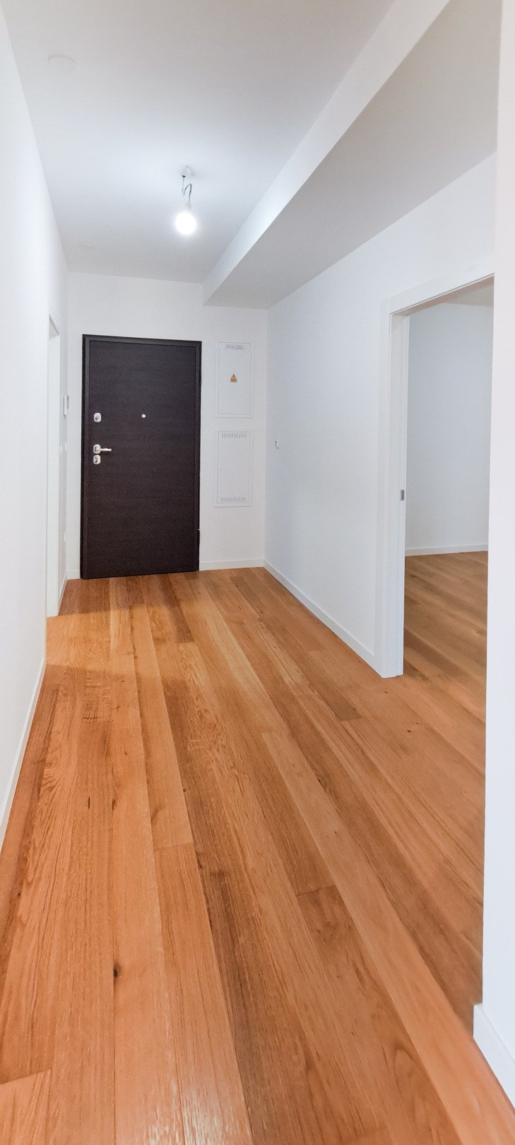 Premium-Apartment nur 50 m vom Meer entfernt, Dachterrasse → Privlaka