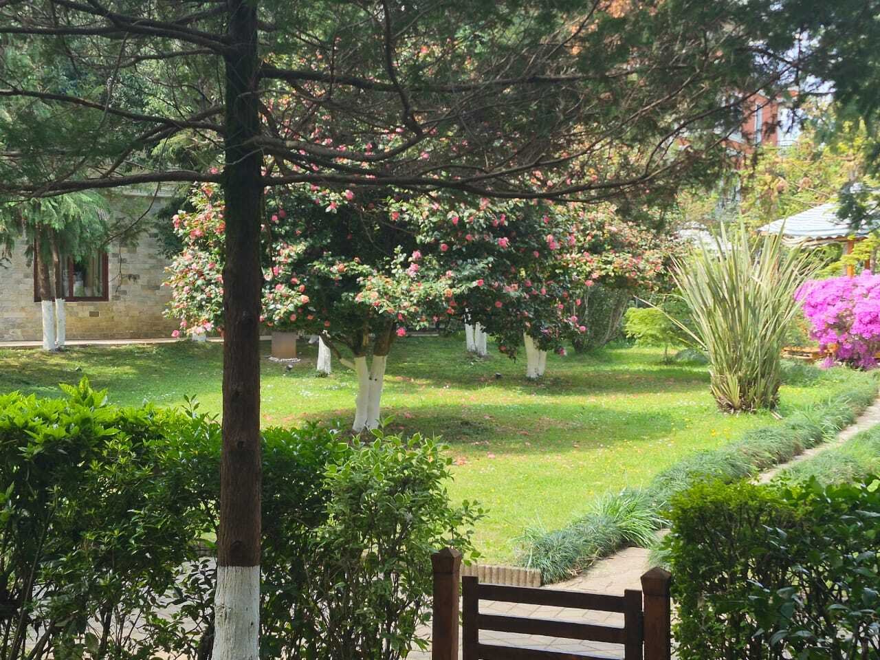 Appartamento completamente arredato di 2 locali nel Dreamland Oasis Resort vicino a Batumi, Georgia – con giardino privato e accesso alla spiaggia privata