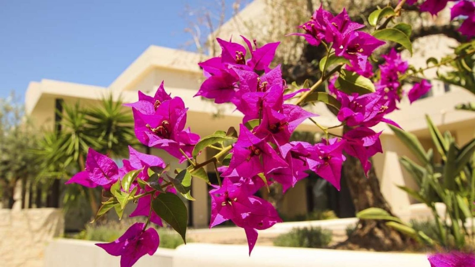 Moderne Villa am Meer, La Marina, Alicante
