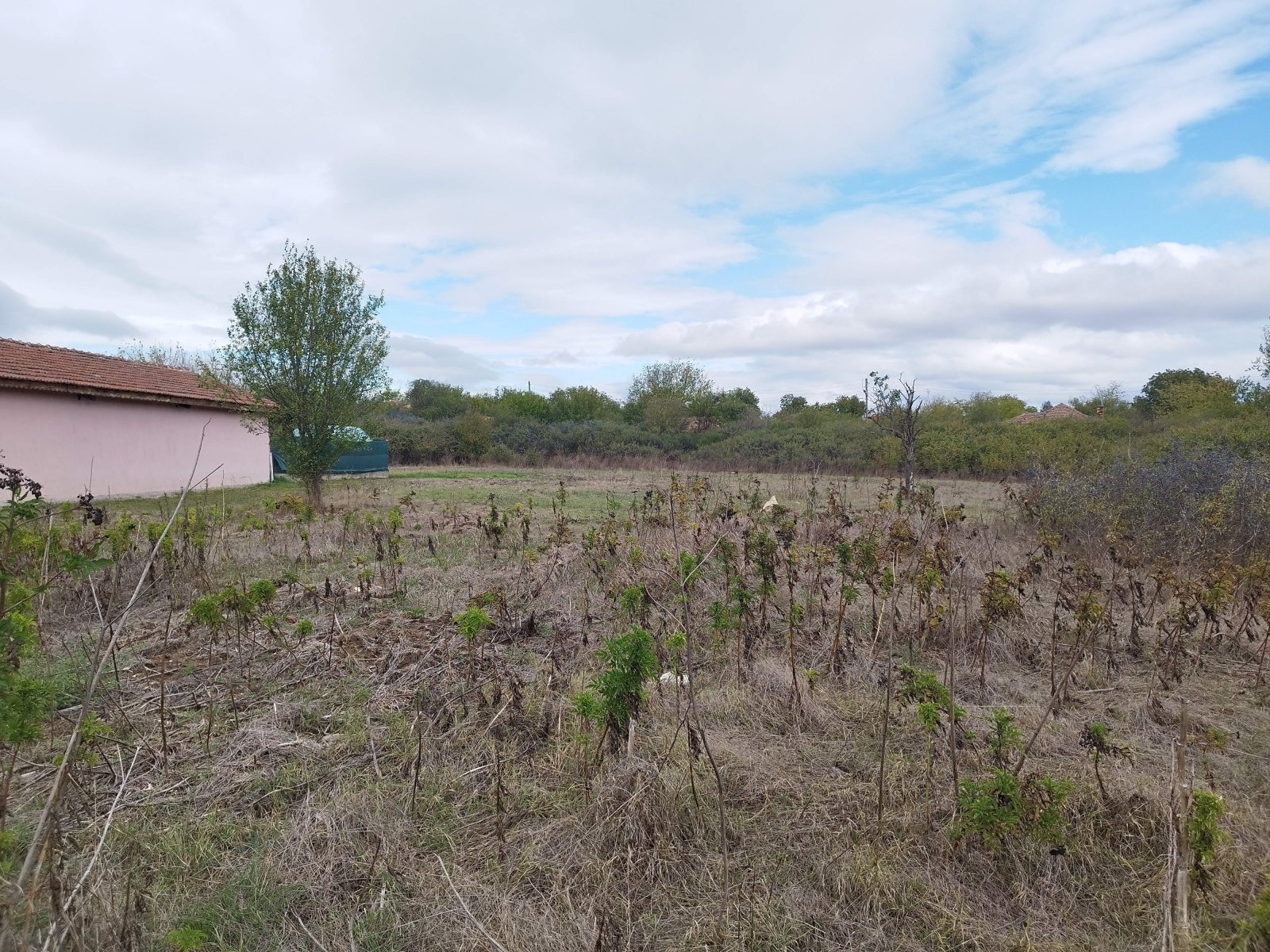 Terreno in vendita nel villaggio di Konevets, regione di Elhovo