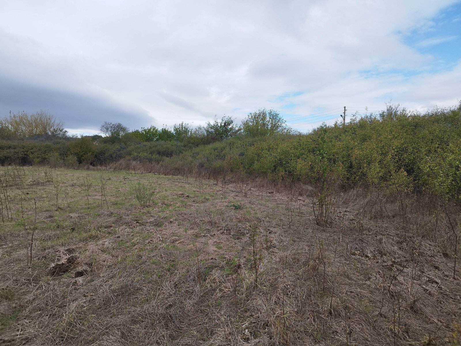 Terreno in vendita nel villaggio di Konevets, regione di Elhovo