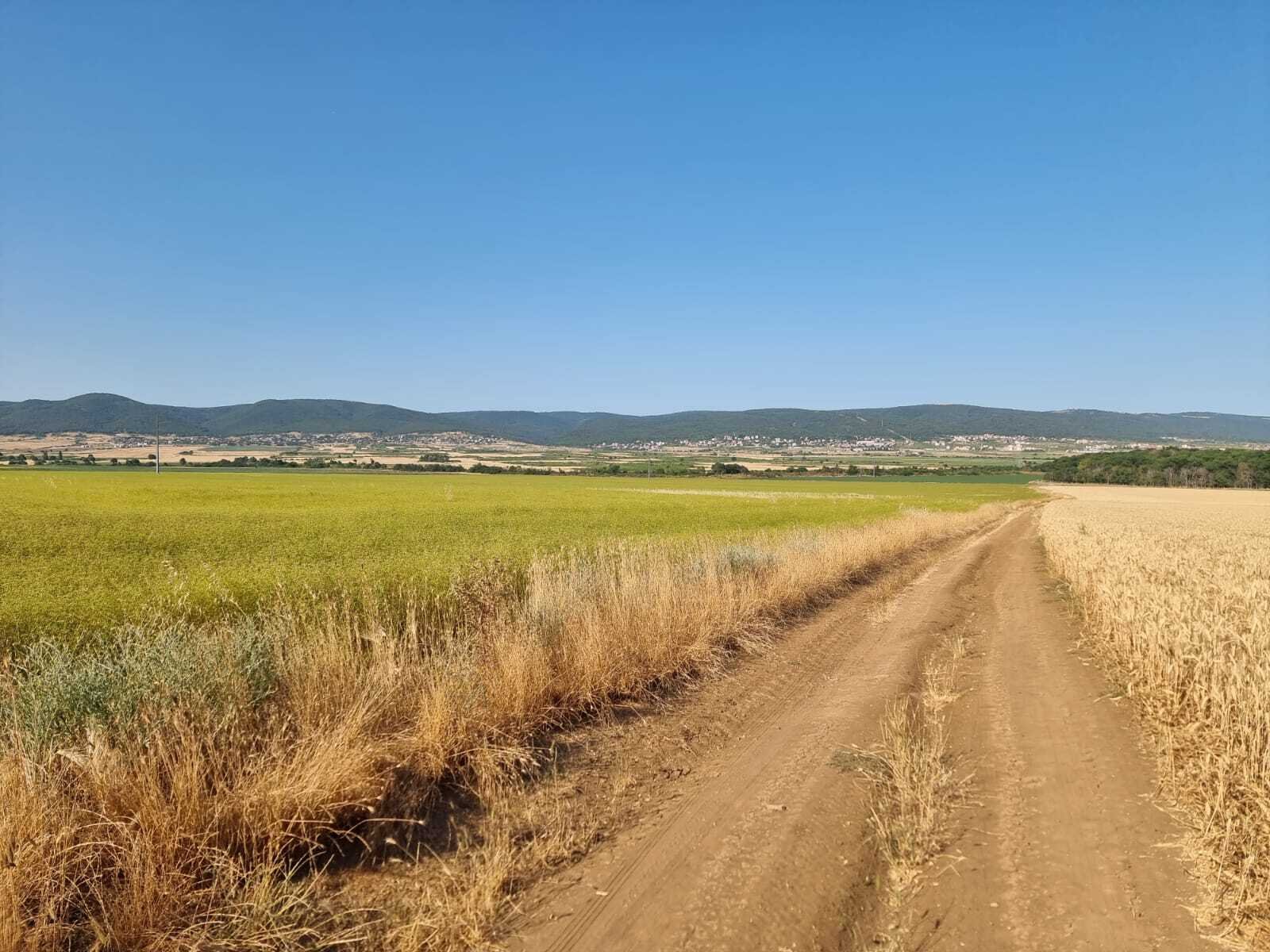 Plot in the village of Tankovo, Burgas region, Bulgaria