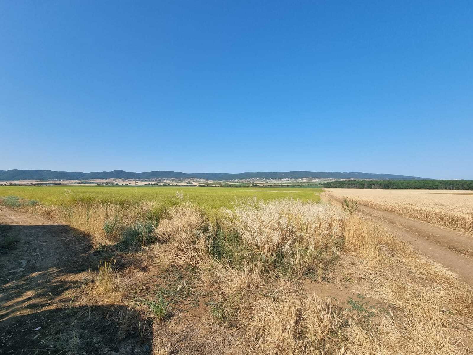 Plot in the village of Tankovo, Burgas region, Bulgaria