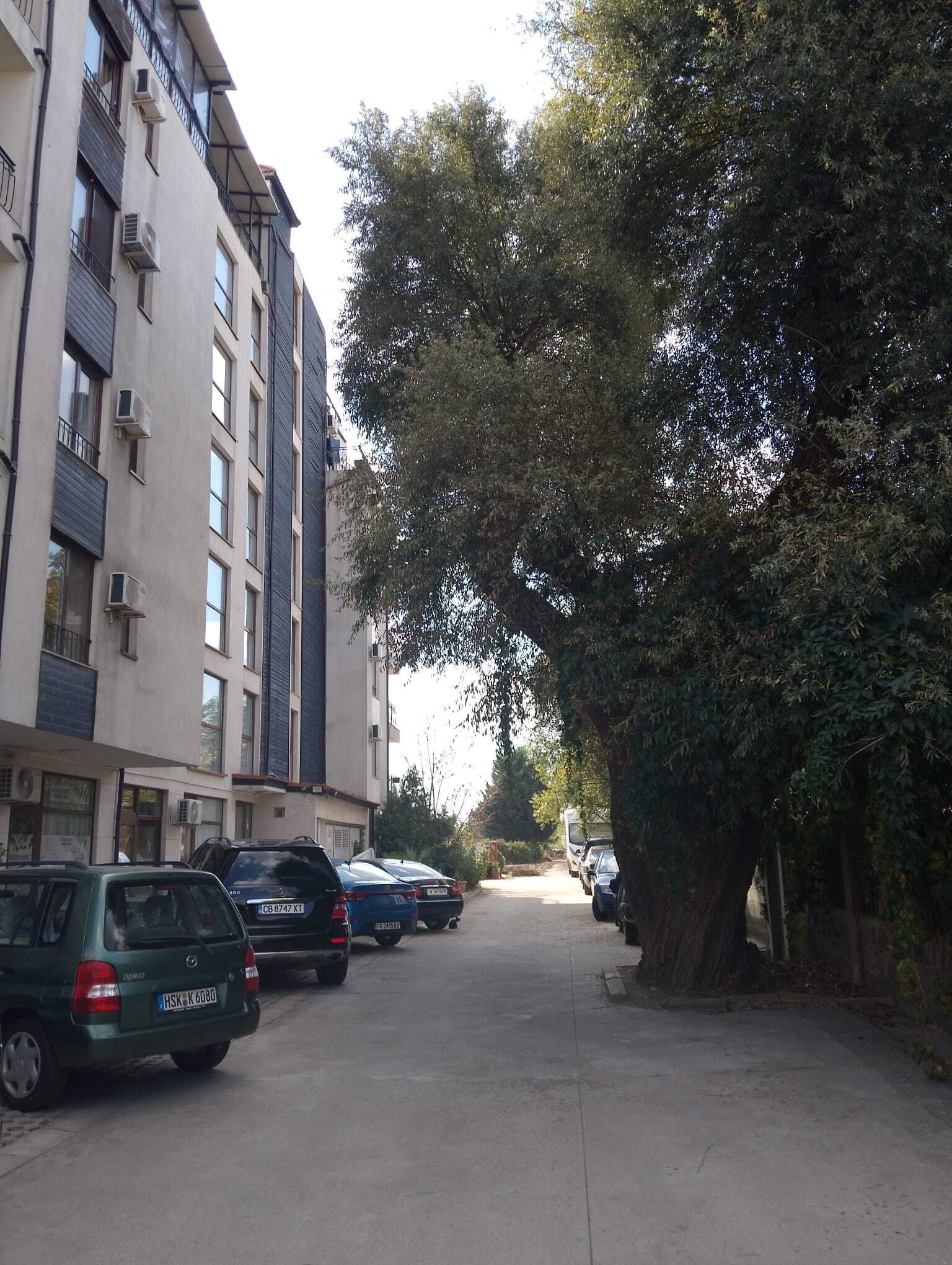 Studi per affitti a lungo termine sul Litorale del Sole in Bulgaria