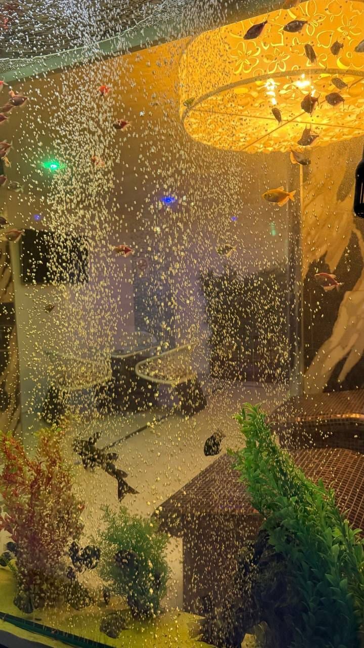 SPA & Fitness Atlantis, Sarafovo, Bulgaria