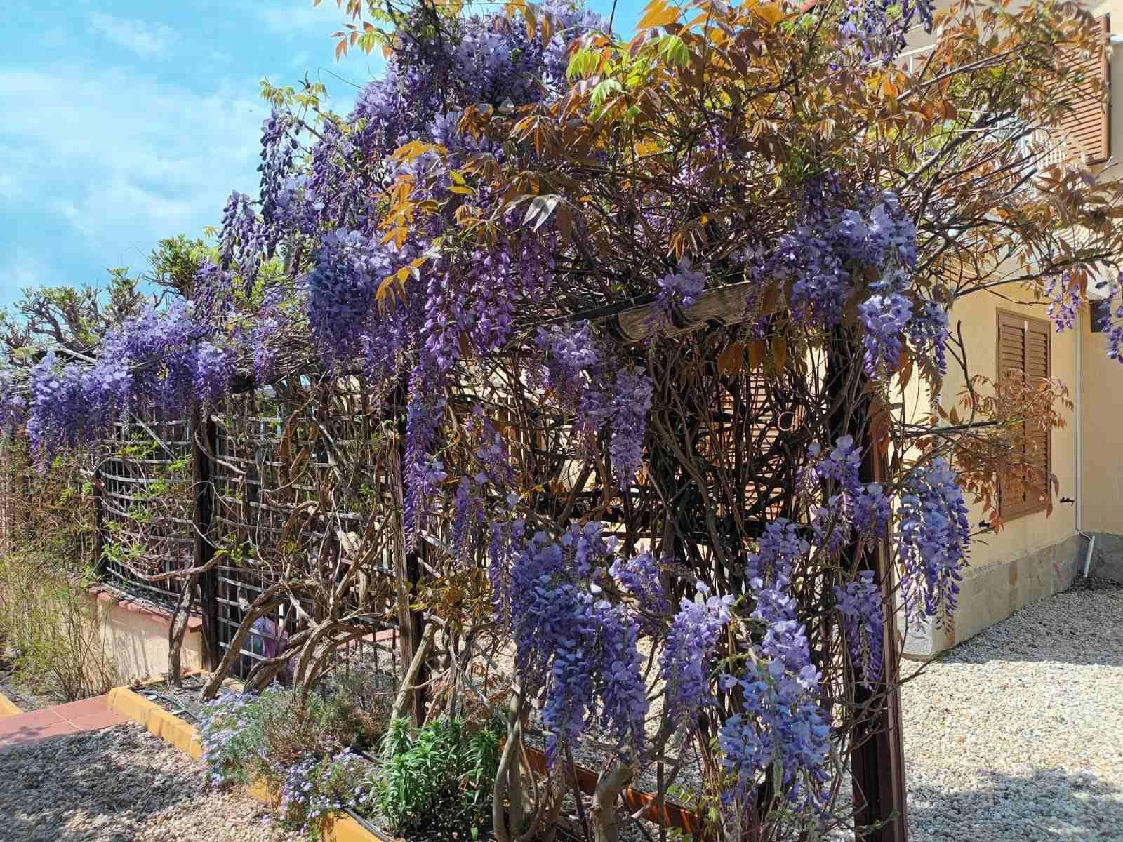 Luksusowa willa z prywatnym basenem i widokiem na góry w Kosharitsa | 262 m² | €404 250