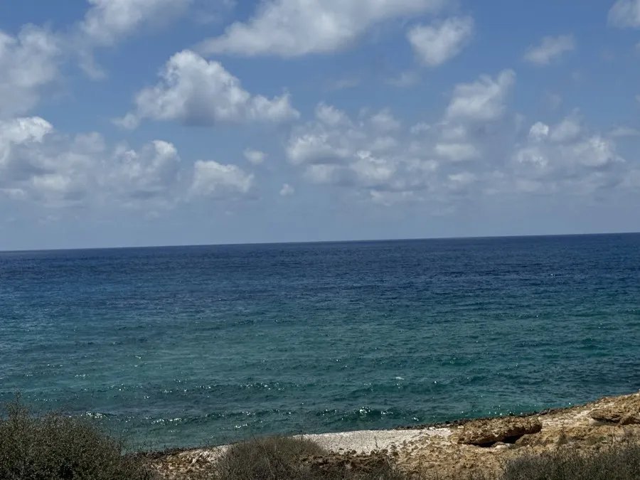 Działka mieszkaniowa w Chlorace, Pafos