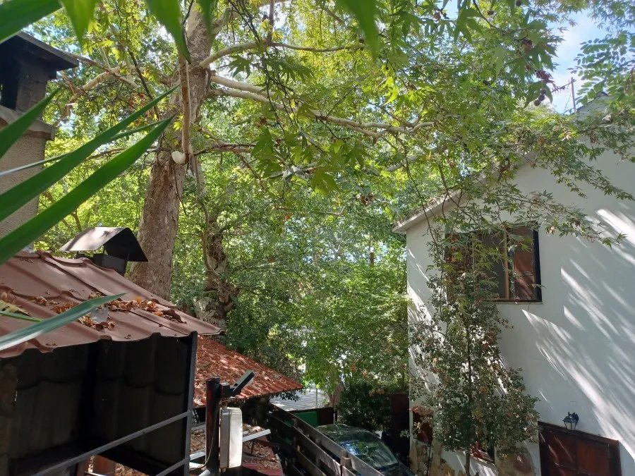 Restauracje w Moniatis, Limassol