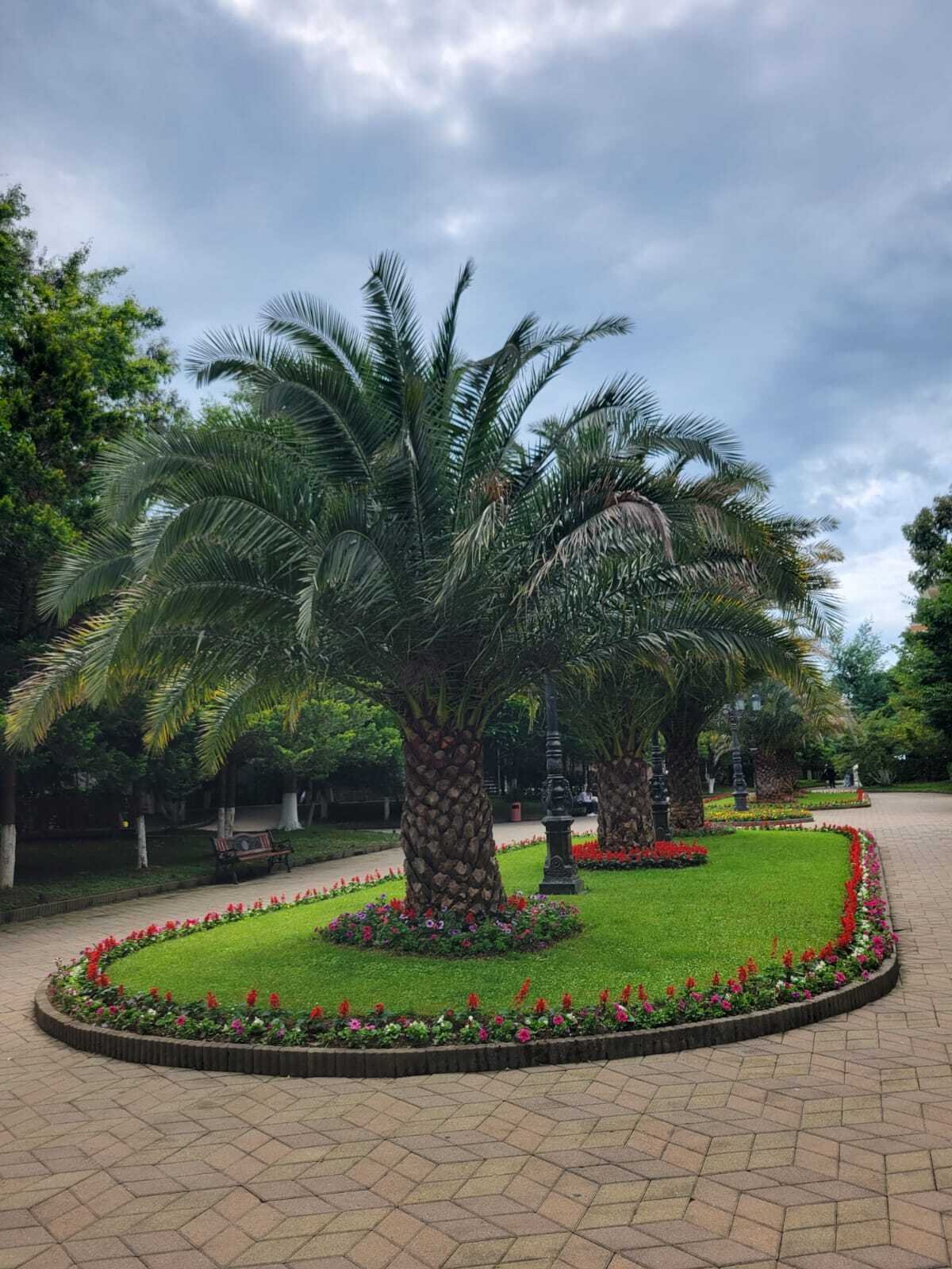 W pełni umeblowane mieszkanie dwupokojowe w ośrodku Dreamland Oasis Resort koło Batumi, Gruzja – z prywatnym ogrodem i dostępem do prywatnej plaży