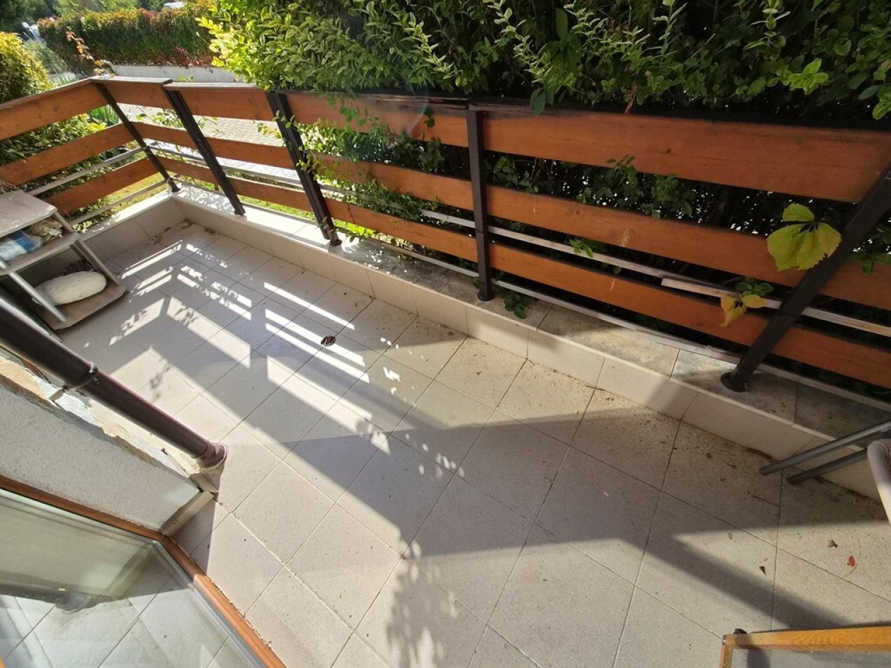 kosharitsa-bulgaria-studio-apartment-gardenia-hills-czKhb3yGS29oj66E kosharitsa-bulgaria-studio-apartment-gardenia-hills-czKhb3yGS29oj66E