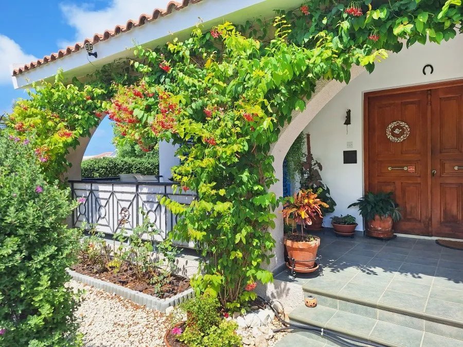 Bungalow w Kissonerga w Pafos