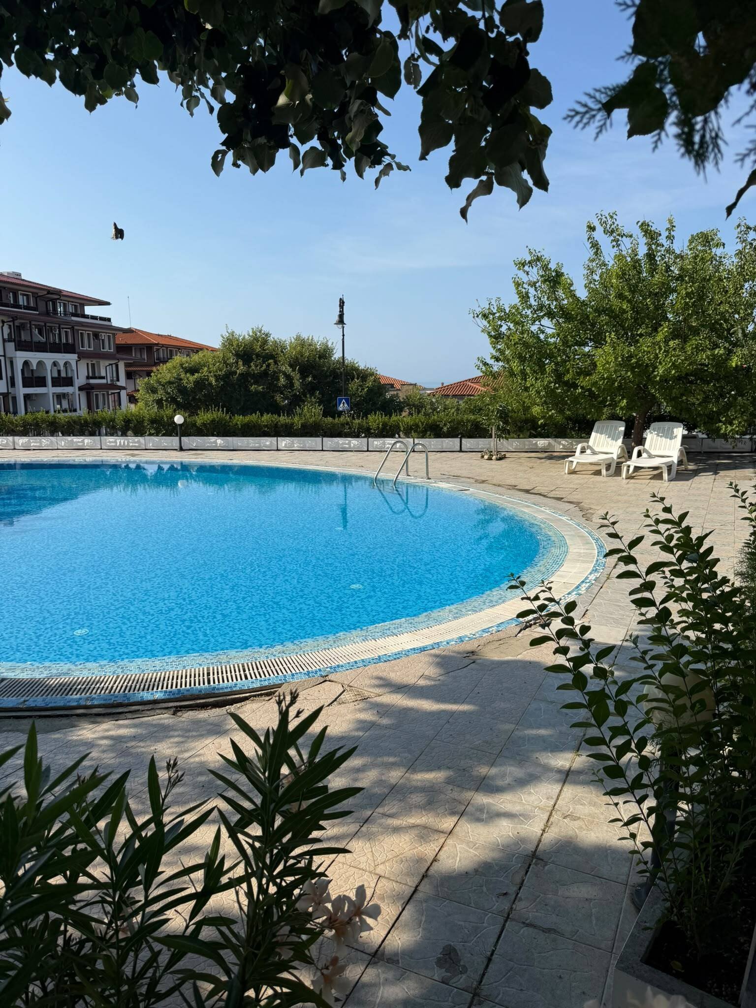 Studio w kompleksie Alpha, Sveti Vlas, Bułgaria
