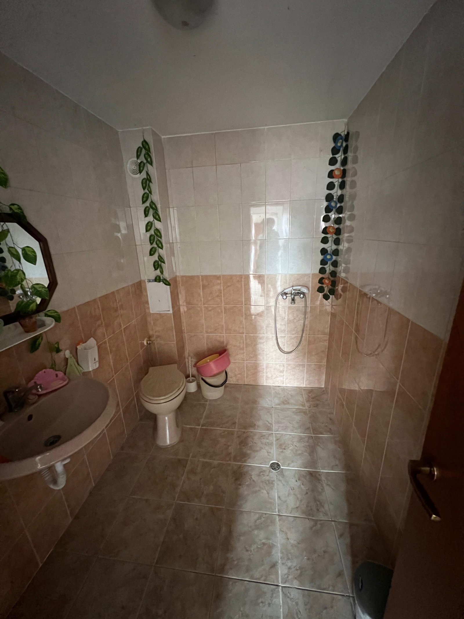 Szeregowiec w wiosce Poroy, region Burgas, Bułgaria