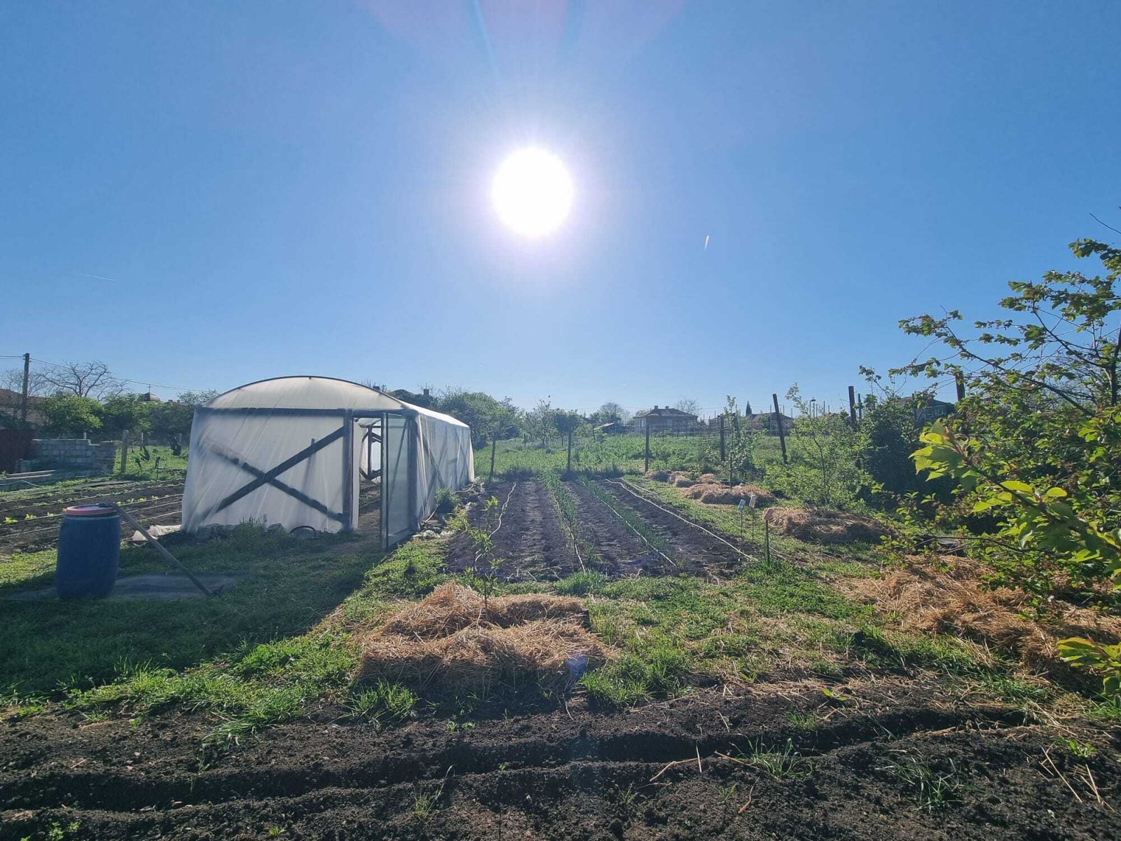 Dom z piwnicą w regionie Winarstwo, Burgas, Bułgaria.