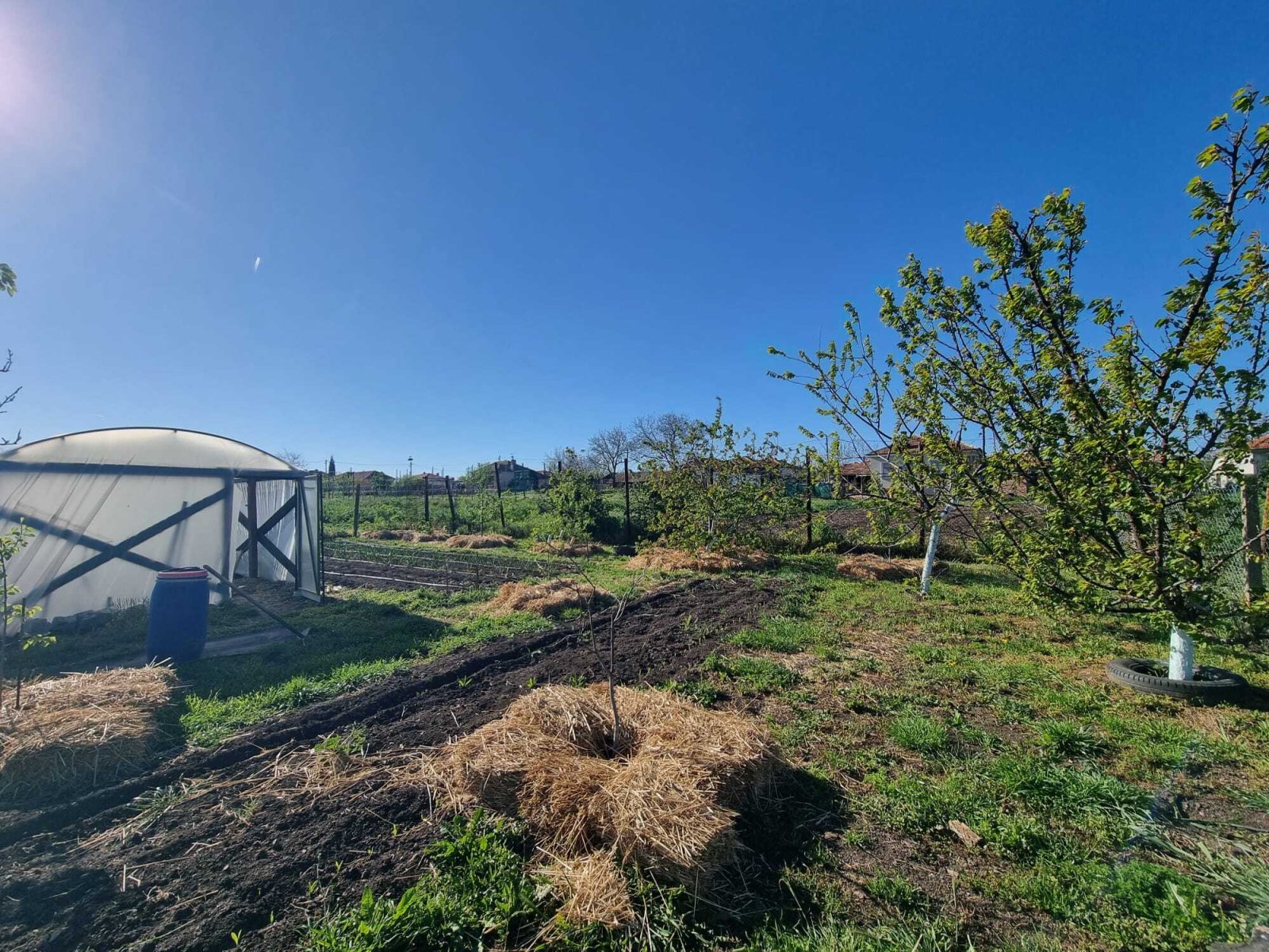 Dom z piwnicą w regionie Winarstwo, Burgas, Bułgaria.