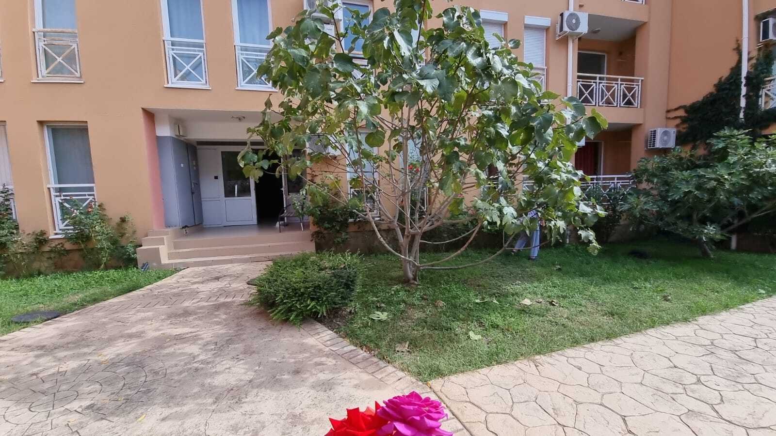 Tankovo: Region Tankovo, Burgas, Bułgaria, Słoneczny Dzień 6 