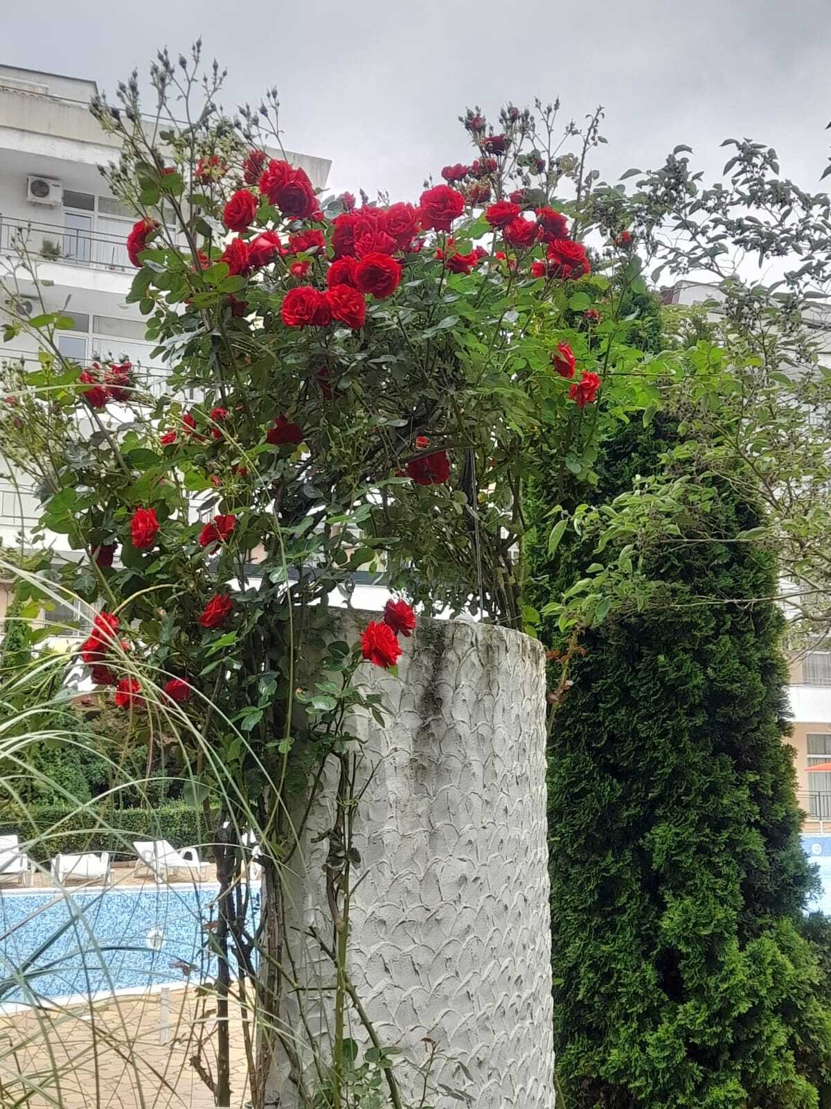 3-pokojowe mieszkanie w Grand Kamelia, Słoneczny Brzeg, Bułgaria