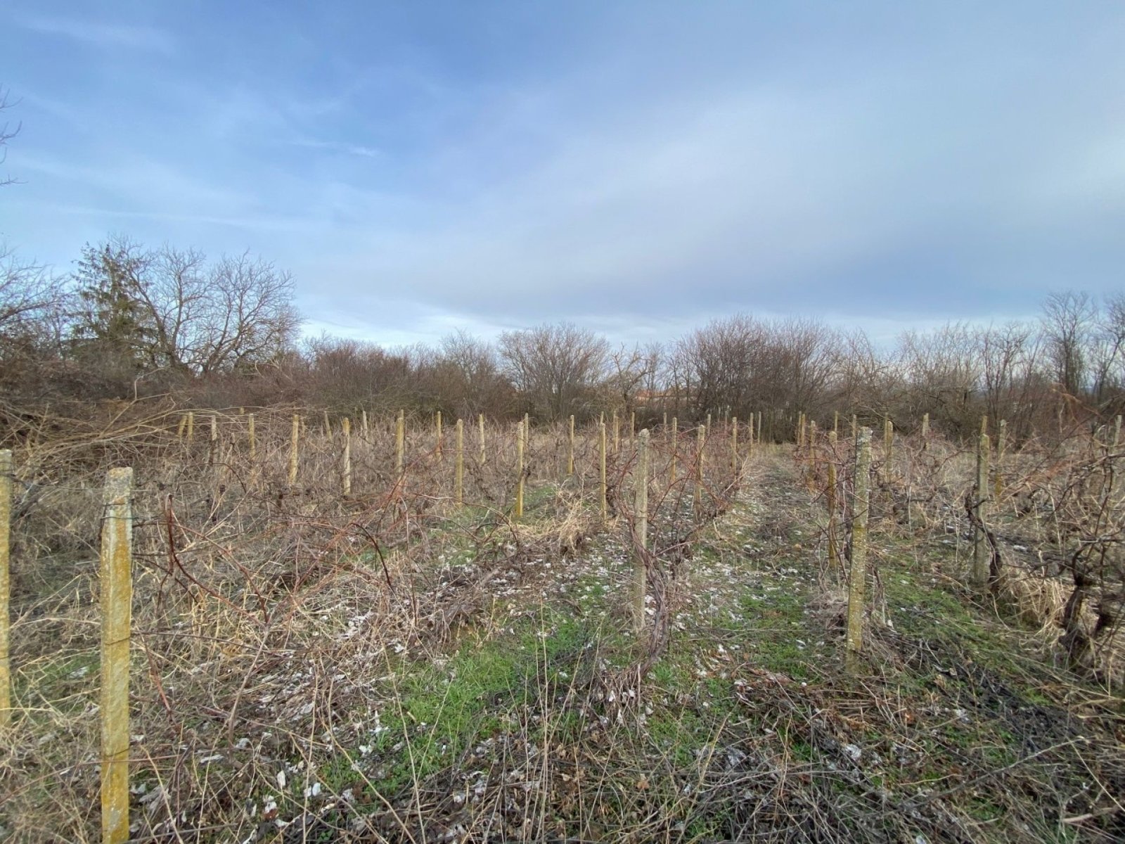 Dom z 4 pokojami, 1000 m², Chestimensko, Bułgaria