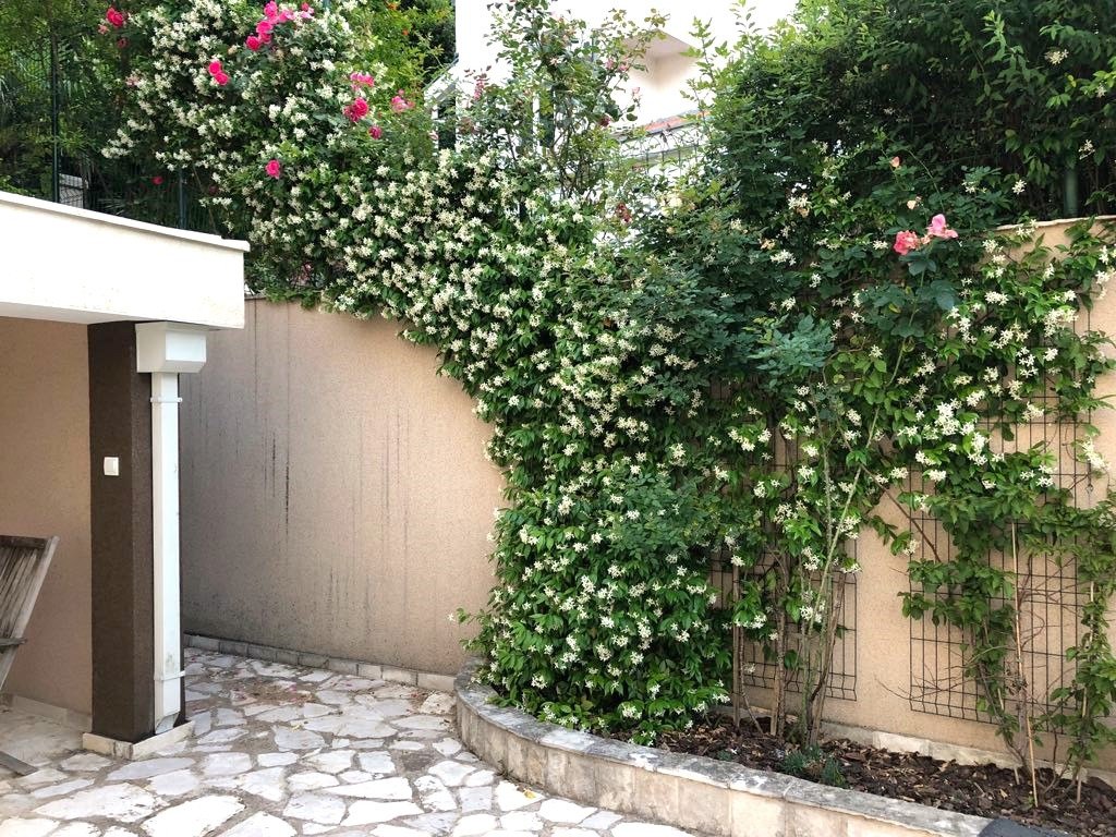 Уникальная вилла прямо на берегу моря в Столиве с большим садом, гаражом и панорамным видом на море.