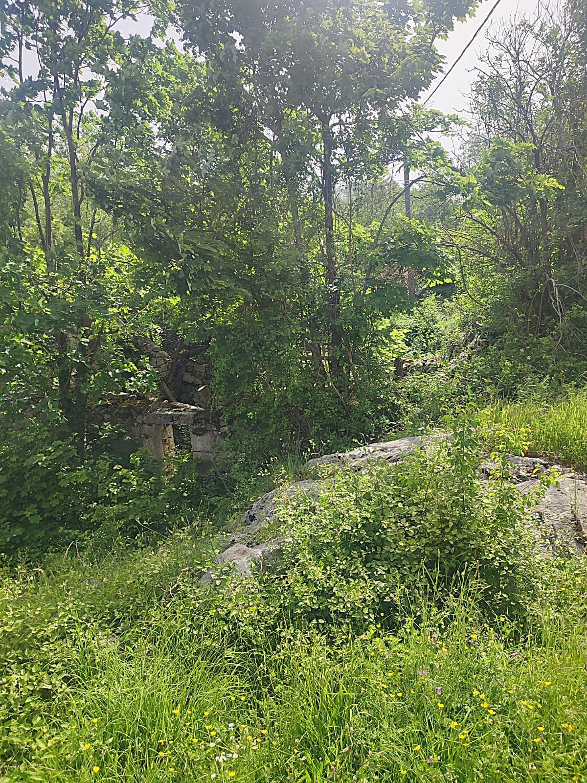 Традиционный каменный дом, горное спокойствие и большой участок. Бьелоши, Цетине.