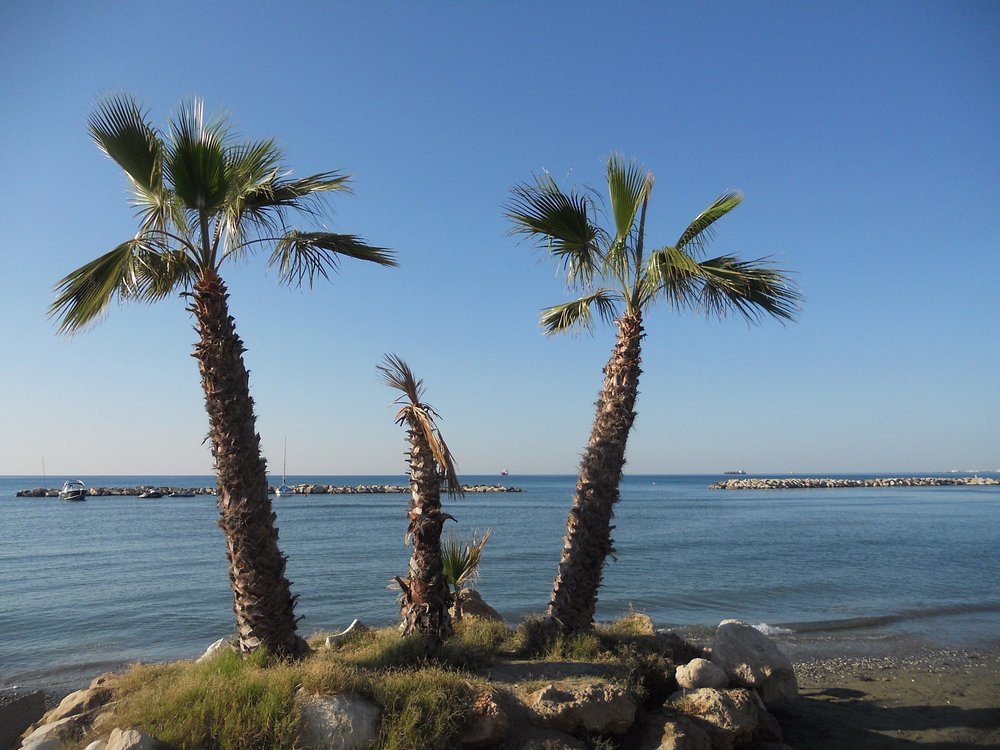 Anlagevilla (3+1 Zimmer) mit lebenslanger Renditegarantie von 5 bis 7 %, großem Grundstück und Swimmingpool