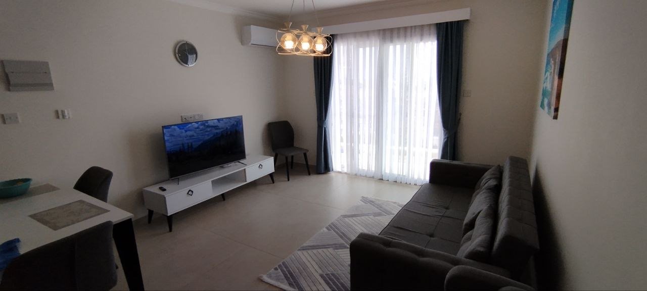 1+1 квартиры