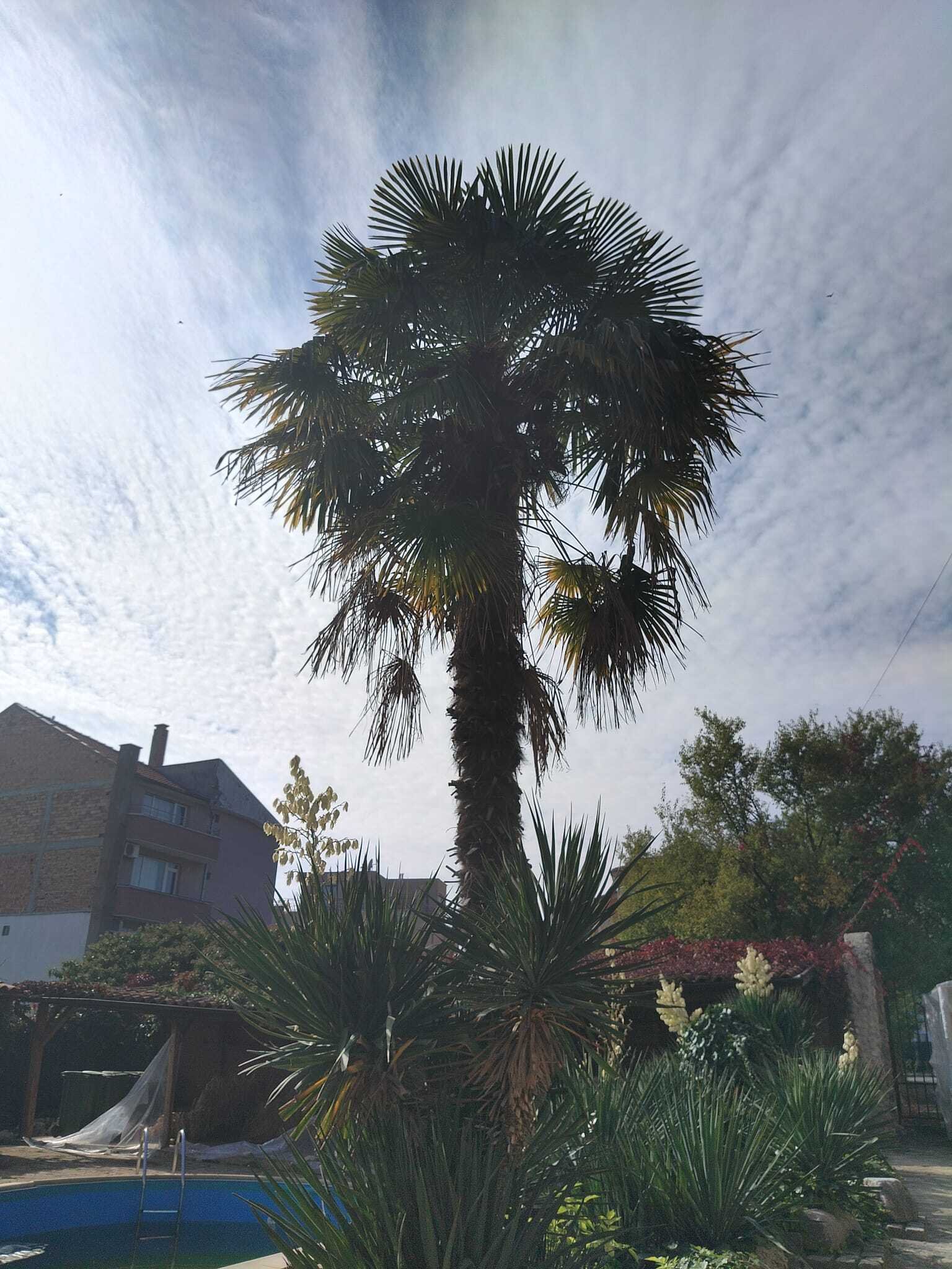 Отель с 29 номерами и летним рестораном в Равде, Болгария