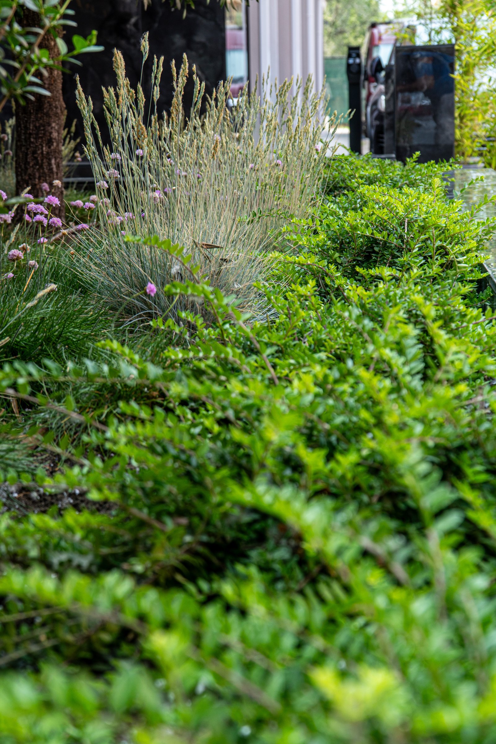 3-комнатная квартира в Эмилия-Романья, Boutique Sonnenstrand, Болгария