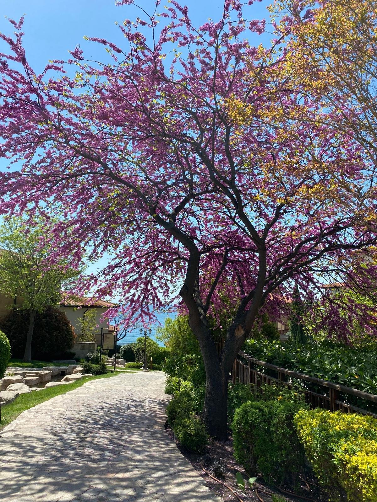 Студия с видом на море в комплексе Garden of Eden в Свети Влас, Болгария