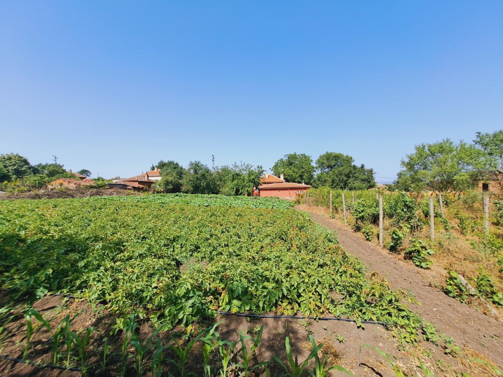 Дом в деревне Крумово