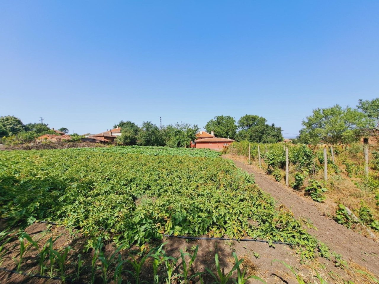 16370 176008409368e8c07d450c4 w1920