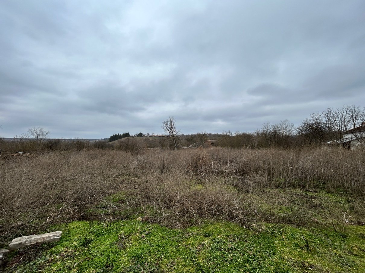 Одноэтажный дом в регионе Александрия, Добруджа, Болгария