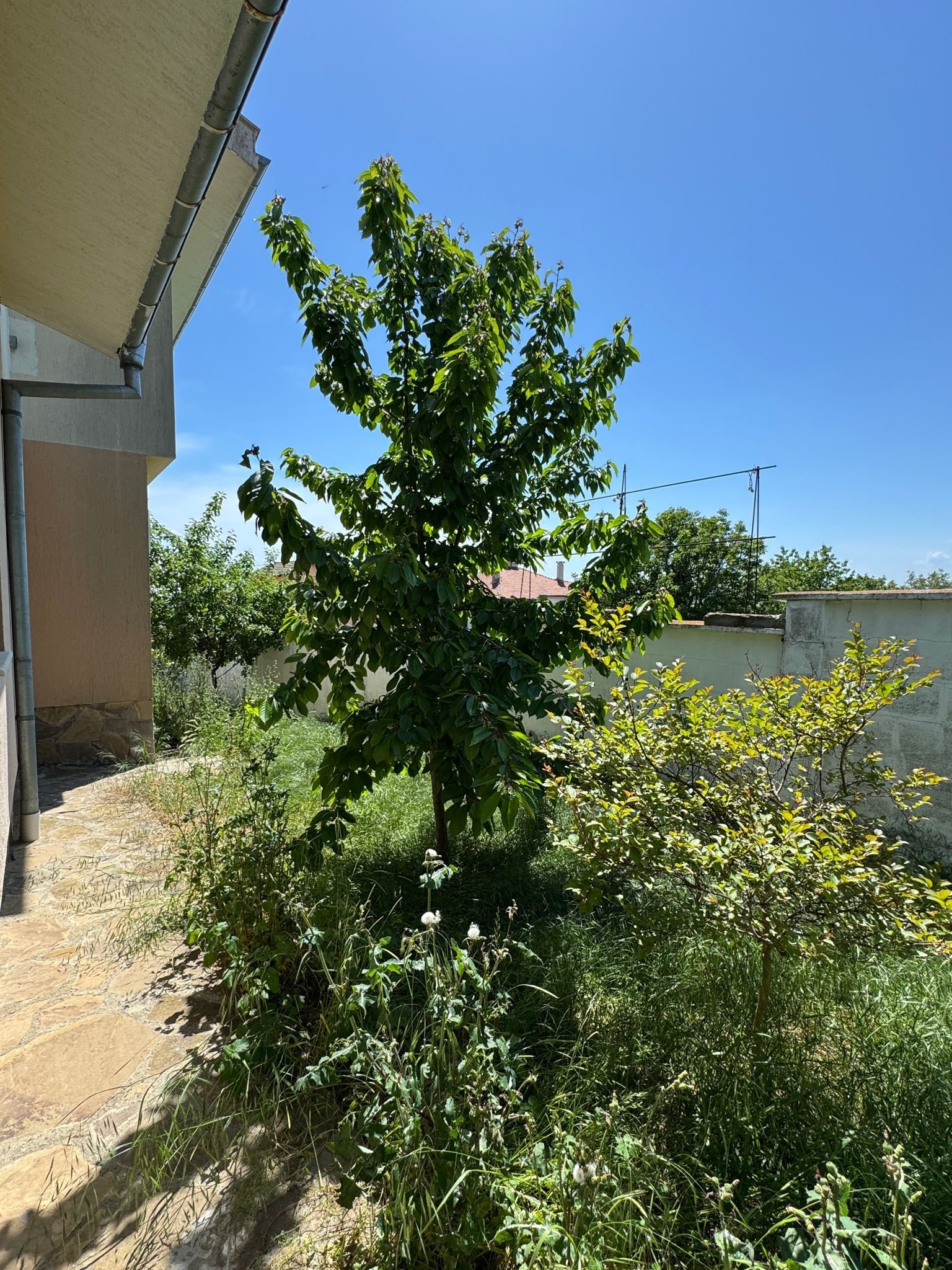 Однофамильный дом в районе Кошарица, Бургас, Болгария.