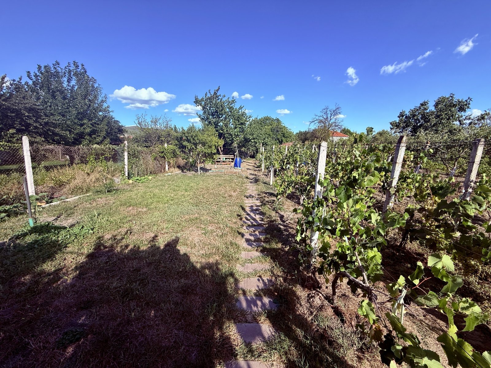 Дом в Гюлевцы